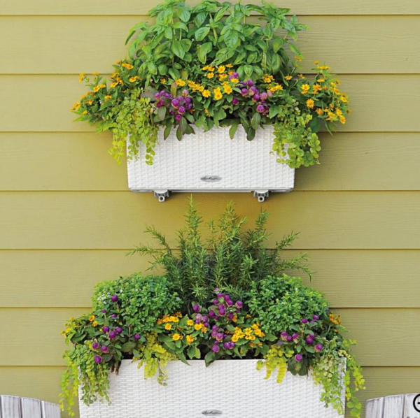 Balconera cottage sjálfvökvandi pottur